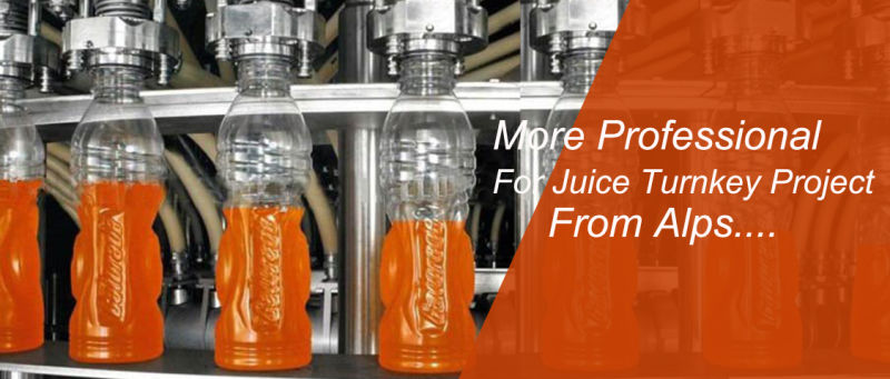 Mini Fruit Juice Production Line for 2000 Bottles Per Hour