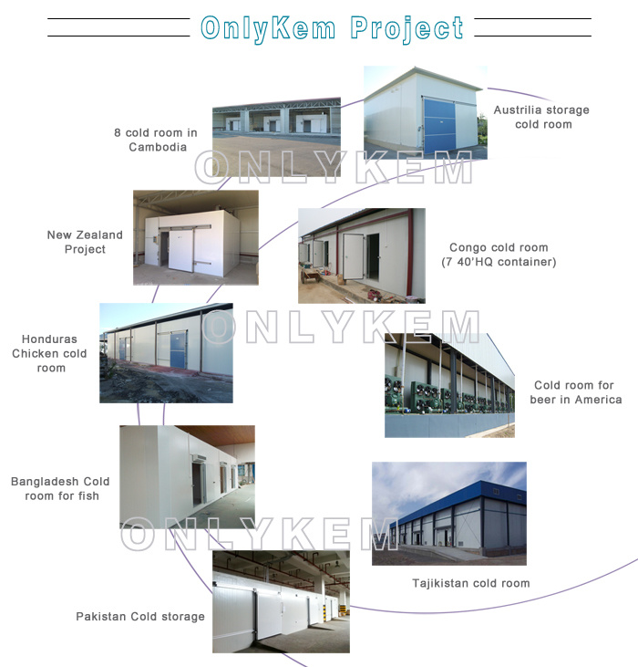 Reliable Quality Factory Cold Storage Warehouse/Room for Halal Foods