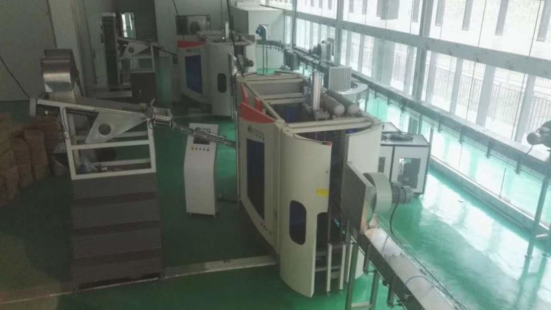 High Speed Fully Auto Pet Bottle Blowing Machine for Cola