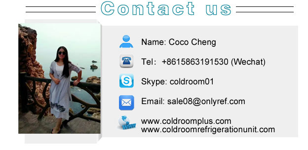 Cold Storage Ceiling Mounted Evaporative Cooler for Vegetable Cold Room