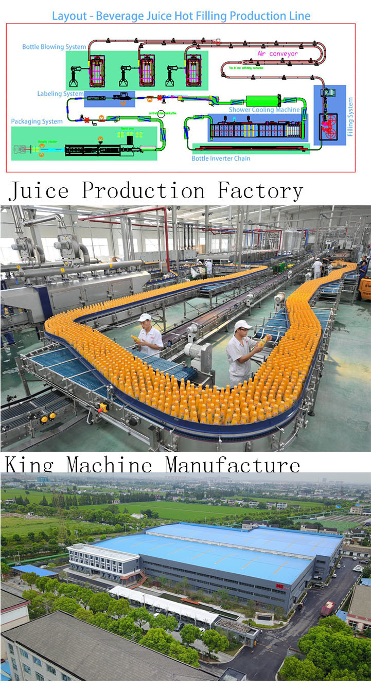 Bottled Orange / Mango Juice Producing Equipment