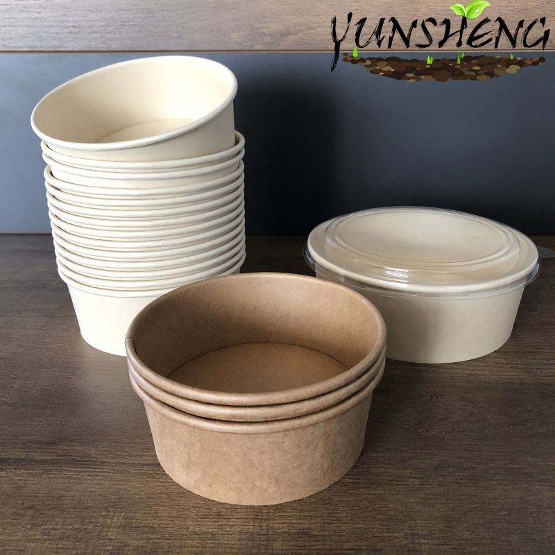 Recyclable Composable Biodegradable Disposable Tableware Food Packaging Bowl