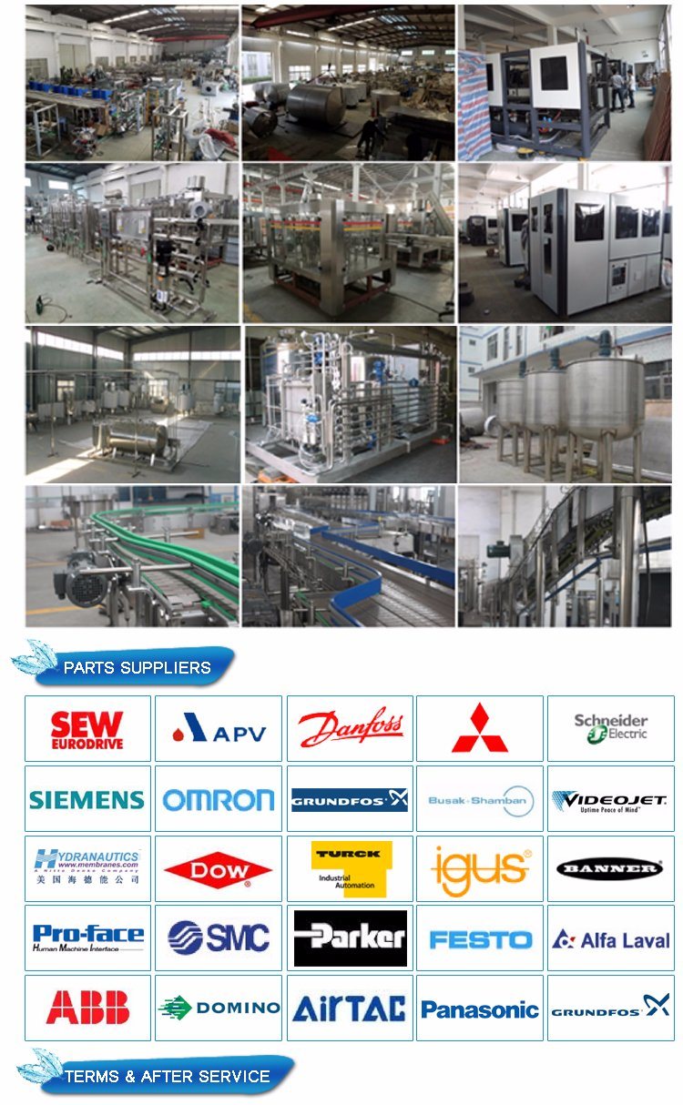 Automatic Blow Molding Machine for Water Bottle 5 Gallon Water Bottle Handle Blow Machine