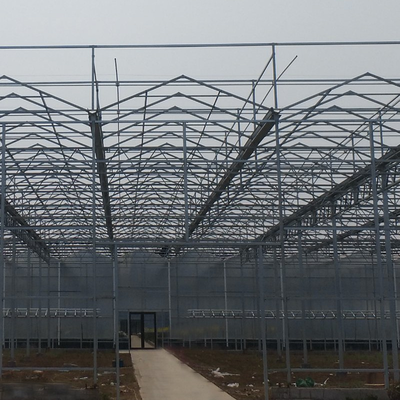 Agricultural Greenhouse Large Size Glass Tomato Greenhouse