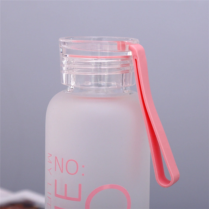 450ml 480ml Water Bottle Matte Glass BPA Free Drinking Glass Water Bottle for Festival Traval