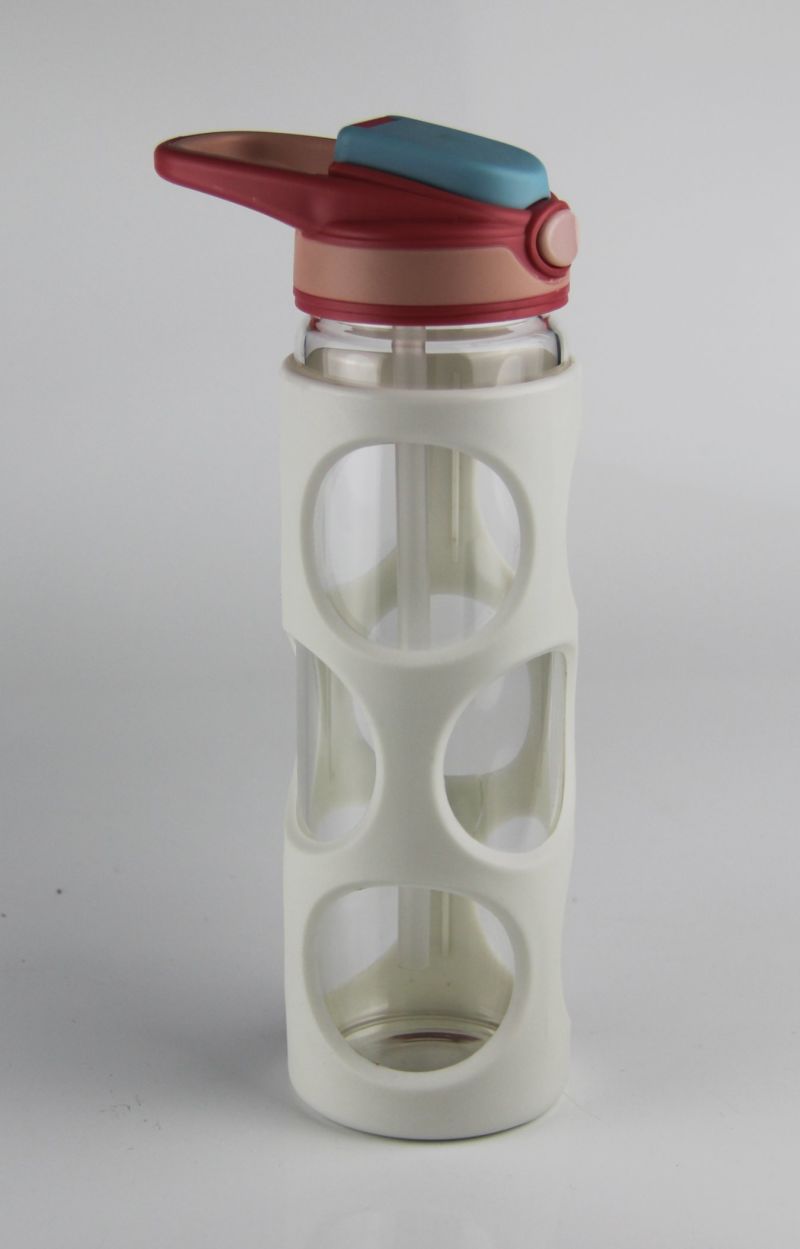 New Idea 15oz Borosilicate Glass Water Bottle with PP Sleeve