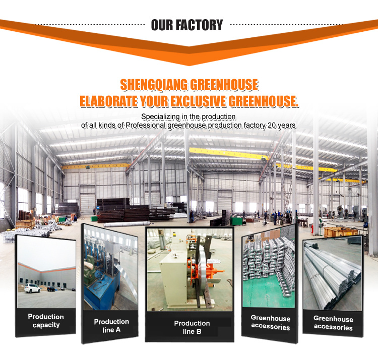 Wholesale Polycarbonate Sheet Growing Greenhouse for Vegetable/Tomato/Garden