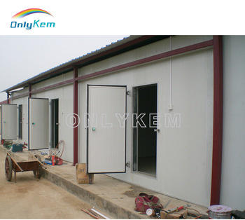 Big/Large/Huge Cold Room Warehouse with Steel Construction