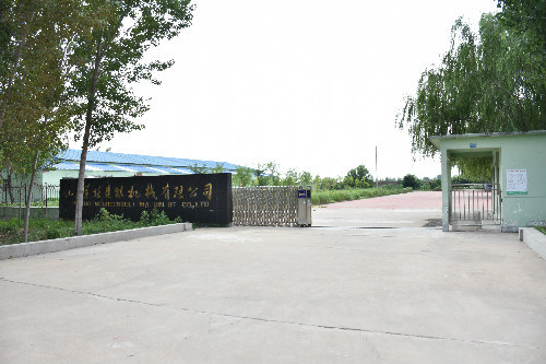 Low Cost Coldroom for Potato, Cold Storage for Onion, Cold Storage for Garlic