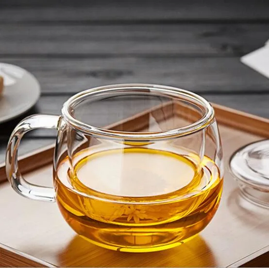 Glass Cup, Tea Mug, Heat Resistant Tea Cup with Handle and Cover