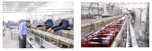 Capacità 20, 000bph preparazione di succo d′arancia fresco macchina in bottiglia di vetro