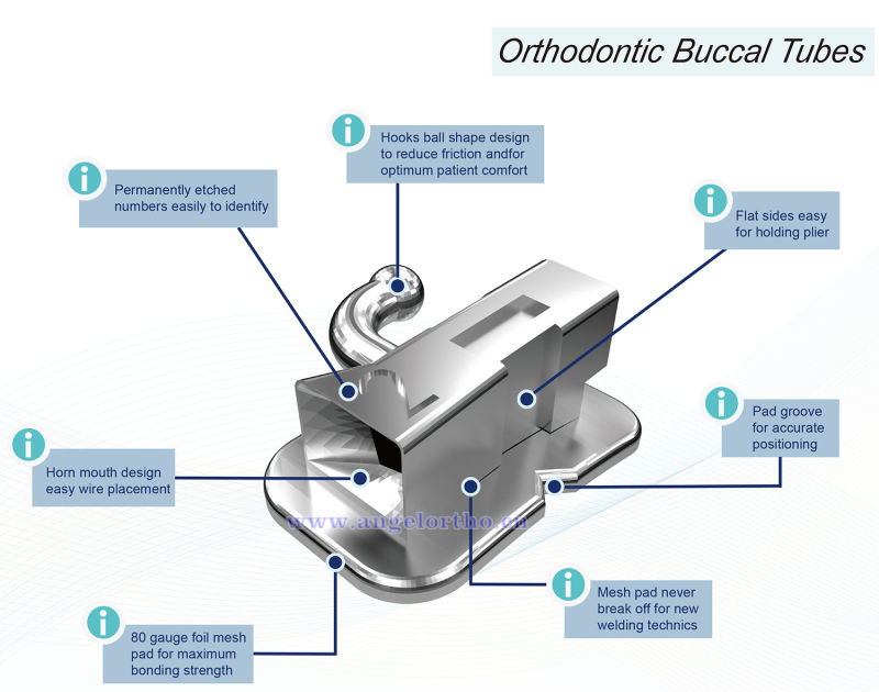 Orthodontic 1st Molar Buccal Tubes with High Quality