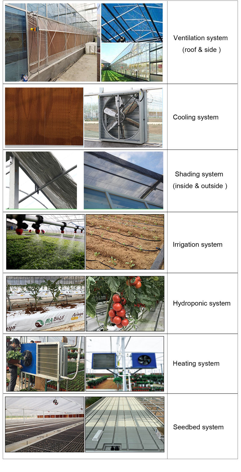 Agriculture Glass/Tempering Glass/Float Glass Greenhouse for Tomato/Fruit