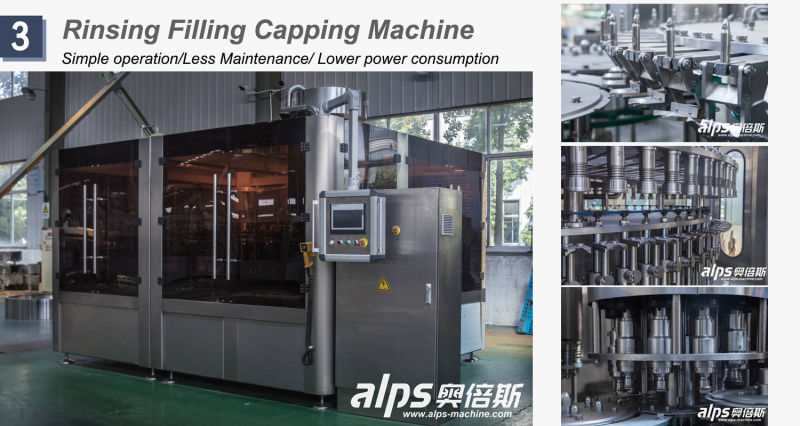 Vegetable Fruit Juice Filling Maker Machinery for Glass Bottle