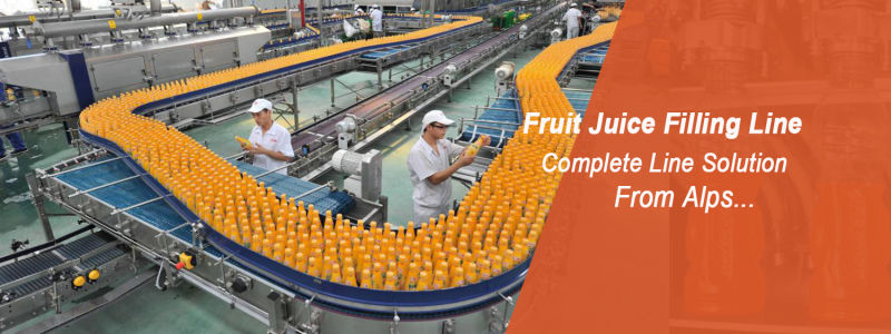 Fully Automatic Fruit Juice Bottling Plant for Glass Bottle