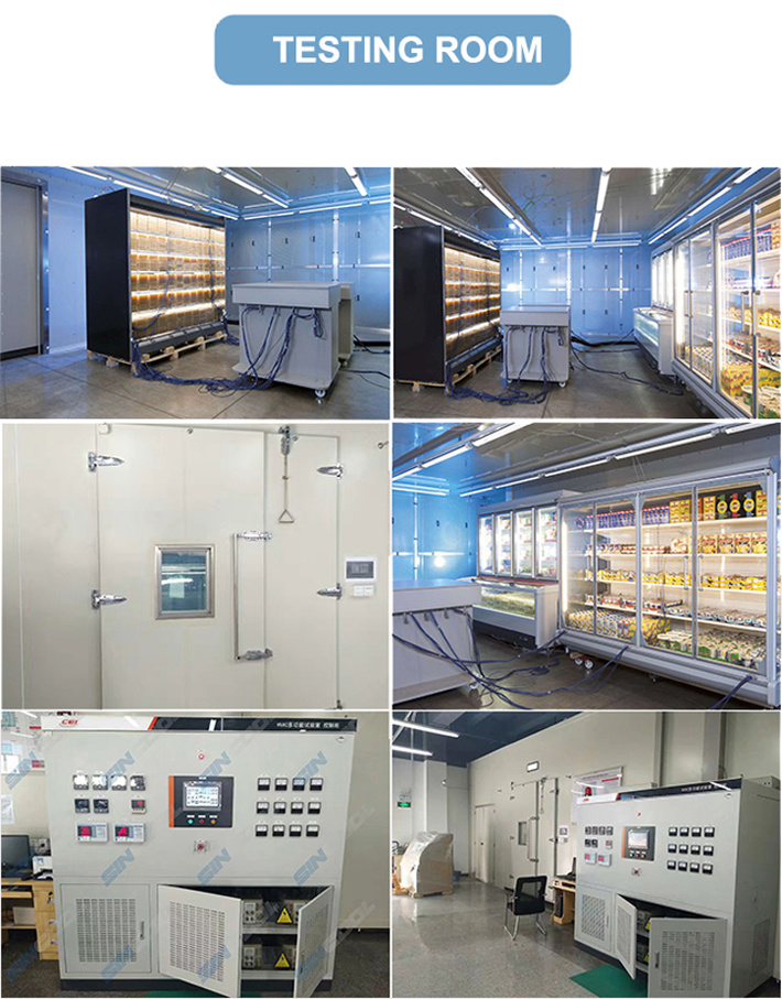 Single Glass Door Commercial Freezer for Frozen Foods and Ice Cream