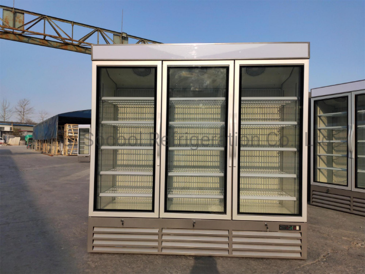 Single Glass Door Commercial Freezer for Frozen Foods and Ice Cream