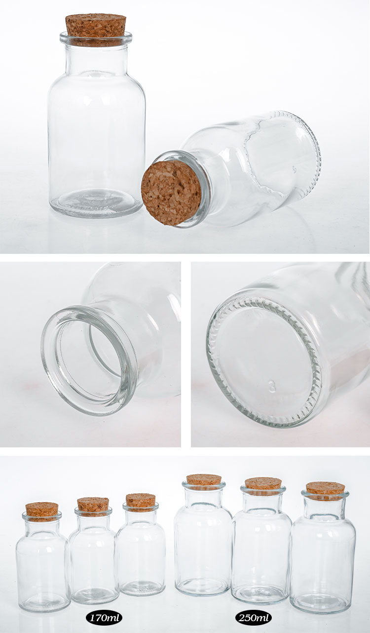 Glass Spice Jars Reusable Spice Jars Bottles Glass Containers with Cork