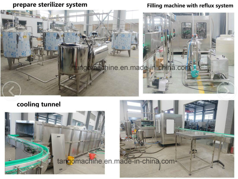 Automatic Bottle Carbonated Drink Beer Bottling Washing Capping Filling Machine