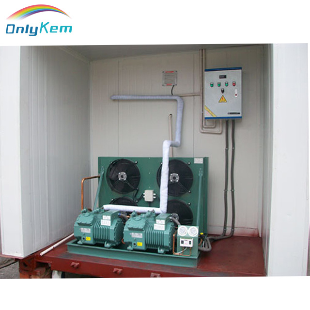 Big/Large/Huge Cold Room Warehouse with Steel Construction