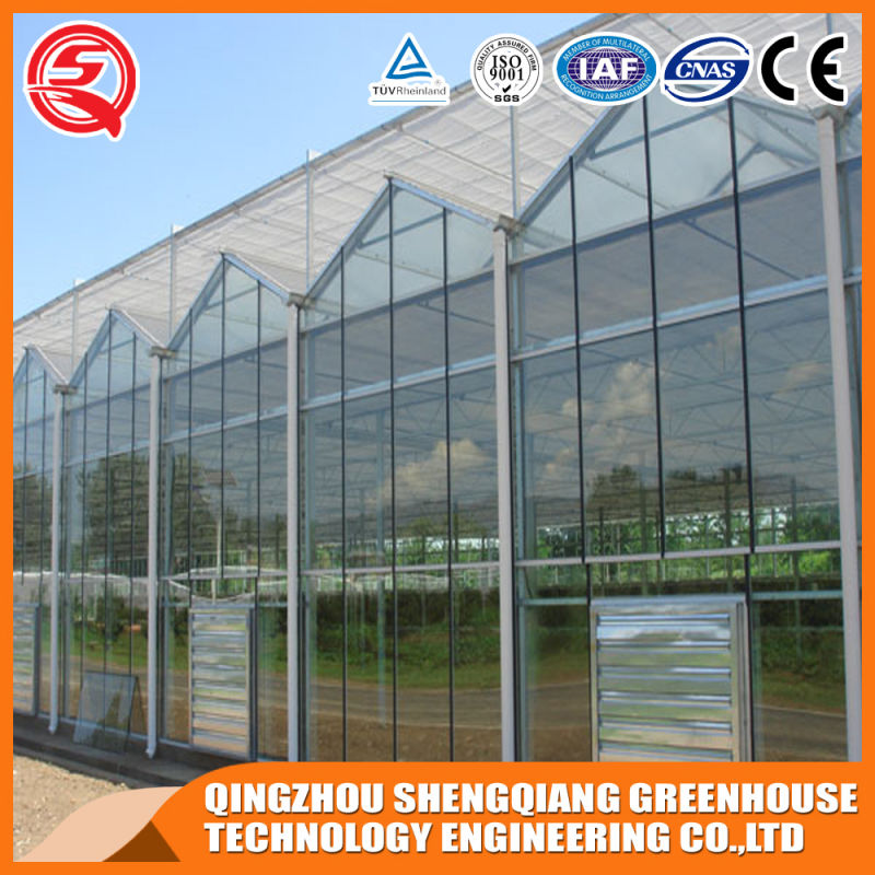 Wholesale Polycarbonate Sheet Growing Greenhouse for Vegetable/Tomato/Garden