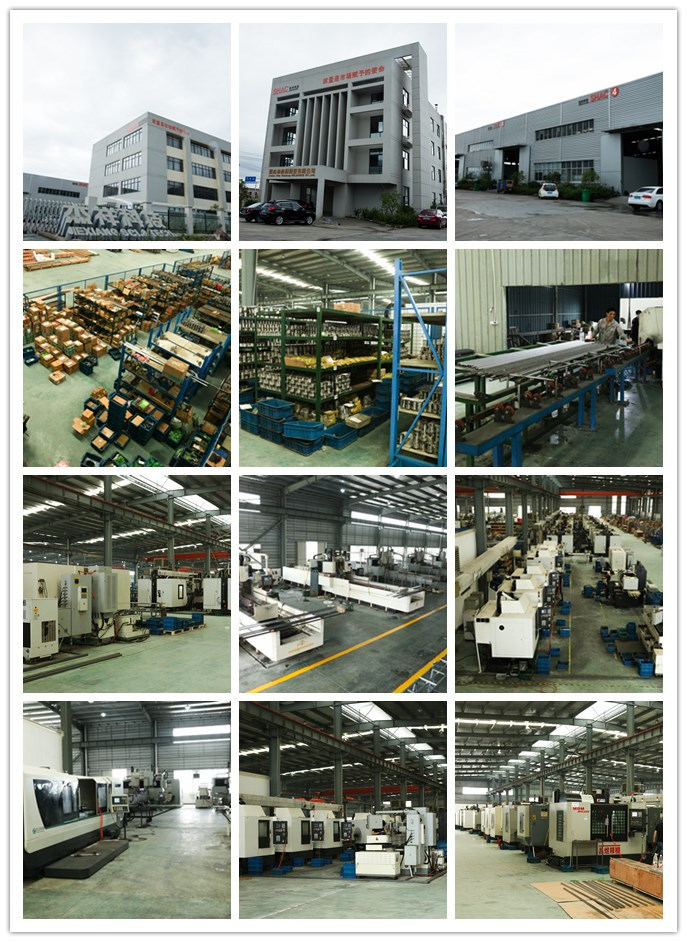 High Speed Lead Ball Screw Sfe1616 for CNC Router