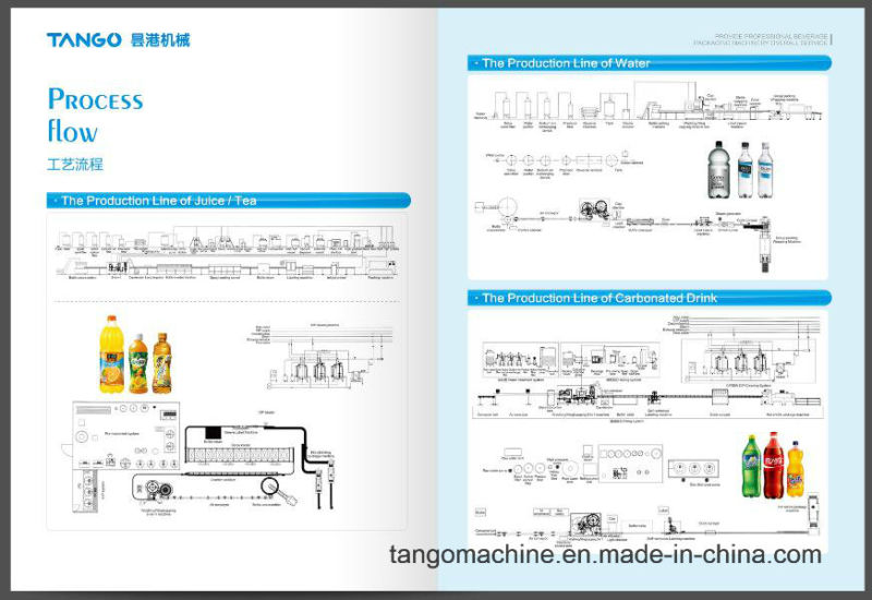 Complete Fruit Juice Processing Production Line for Glass Bottle