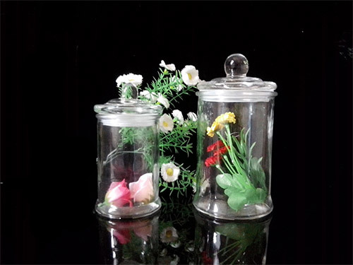 Glass Bottle/Glassware/ Food Jar/ Storage Can