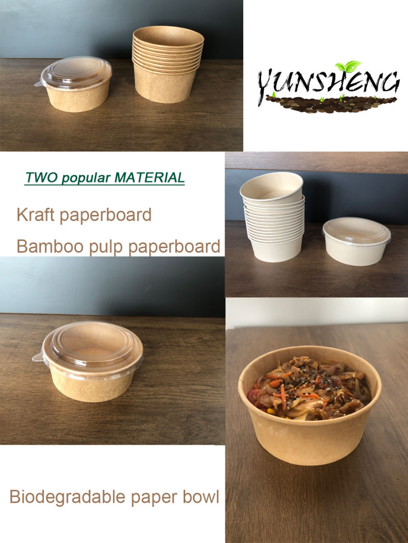 Recyclable Composable Biodegradable Disposable Tableware Food Packaging Bowl