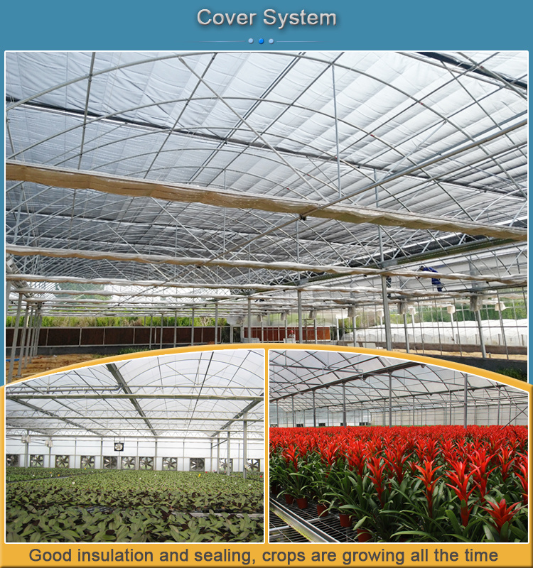 Large Size Multi-Span Arch Plastic Film Greenhouse Tomato Greenhouse