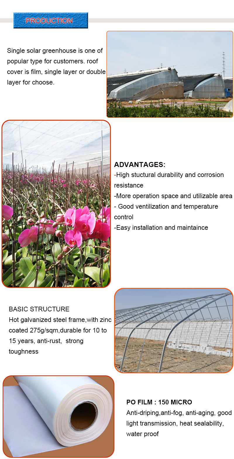 Large Commercial&#160; Vegetable Solar Tunnel Greenhouse for Tomato Cucumbers