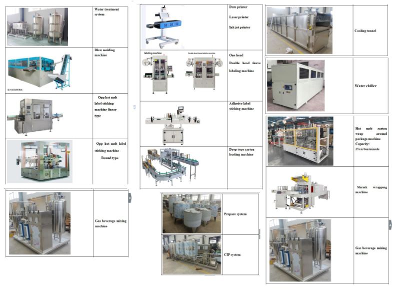 Complete Pet Bottle Carbonated Beverage Liquid Beverage Production Filling Line