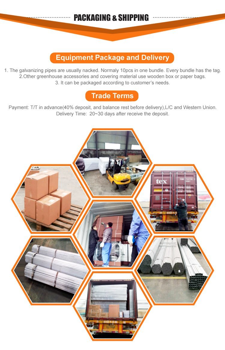 Wholesale Polycarbonate Sheet Growing Greenhouse for Vegetable/Tomato/Garden