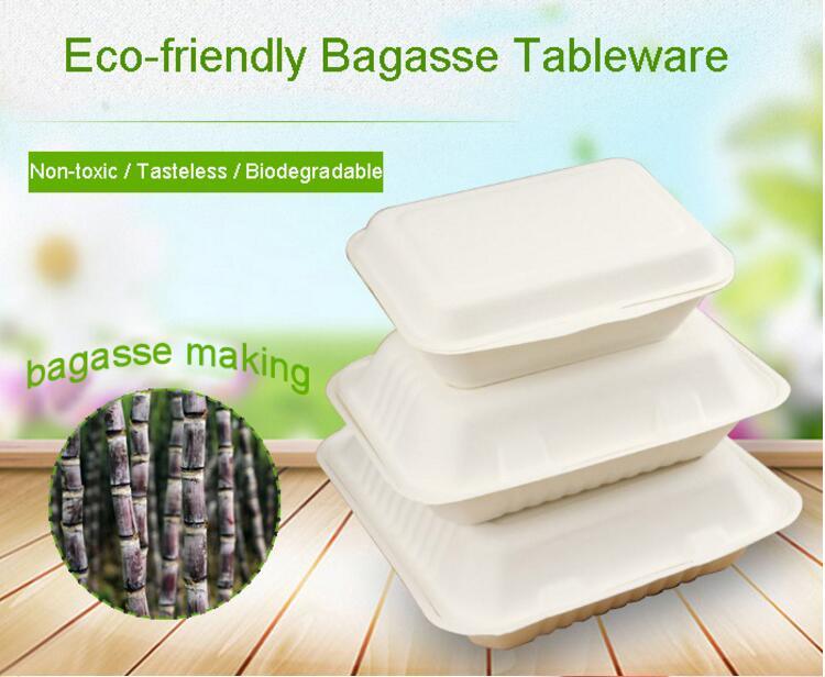 500ml Biodegradable Disposable Eco-Friendly Sugarcane Bagasse Cup