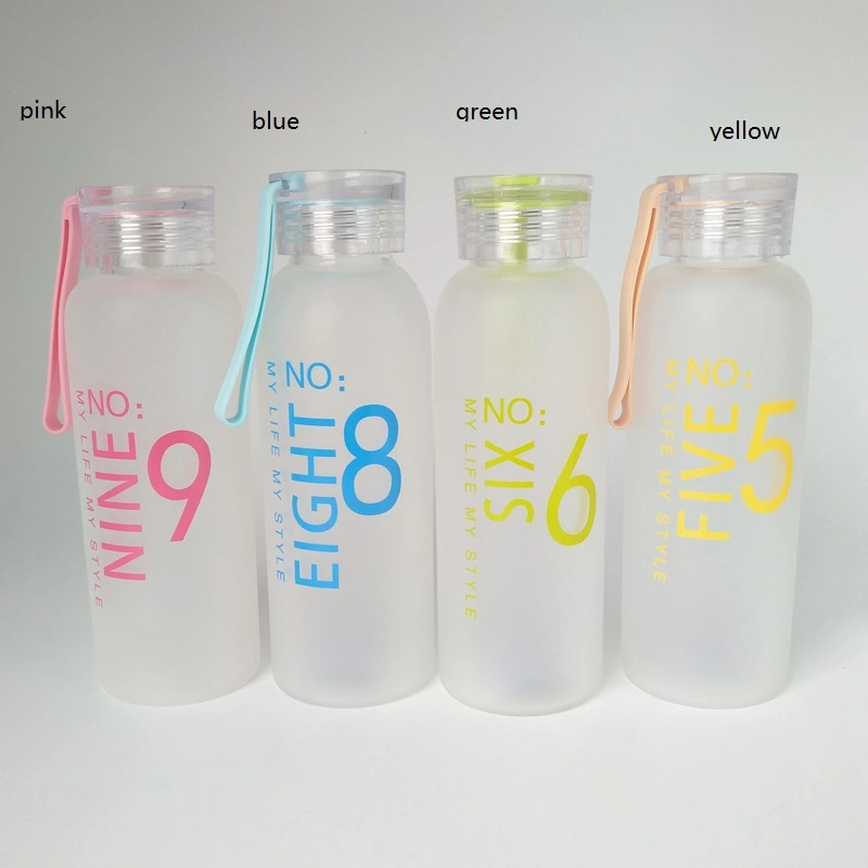 Portable Drinking Custom Glass Water Bottle/Frosted Glass Water Bottle with Lid 16 Oz/ Drinking Glass Bottle 500ml