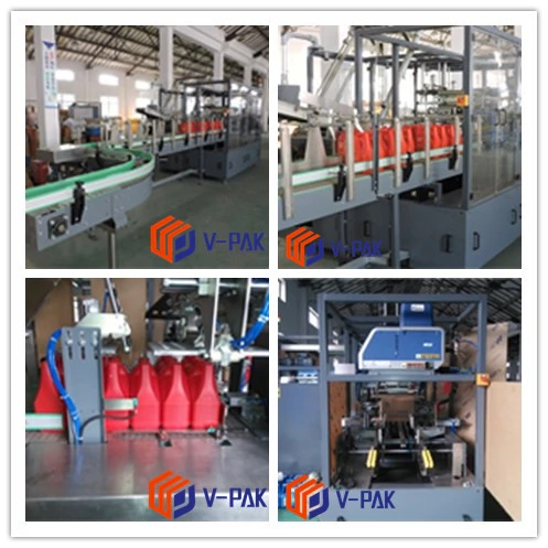 Fully Automatic Case / Carton / Box Packer for Juice Bottles