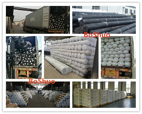 Geotextile for Keeping Stability of Water Conservation Project