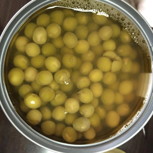 Canned Vegetable Canned Green Peas in Brine