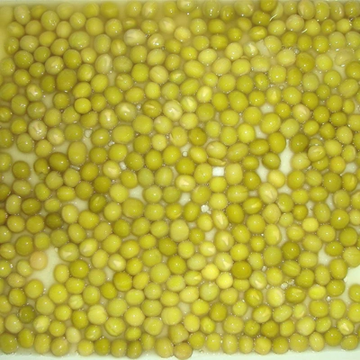 Canned Vegetable Canned Green Peas in Brine