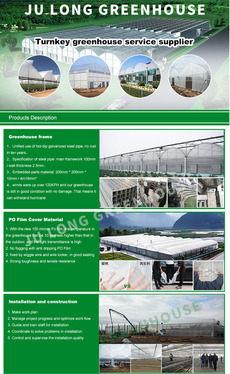 Modern Agriculture Technology Tomatoes Farming Greenhouse for Horticultural Projects