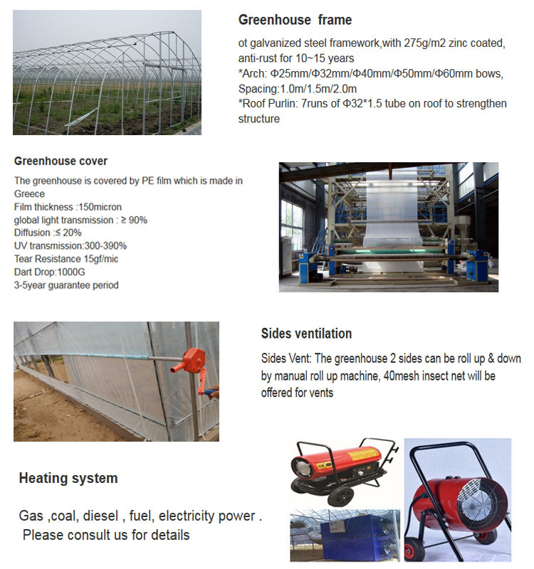 Large Farm Tomato Greenhouse Multi Span Greenhouse