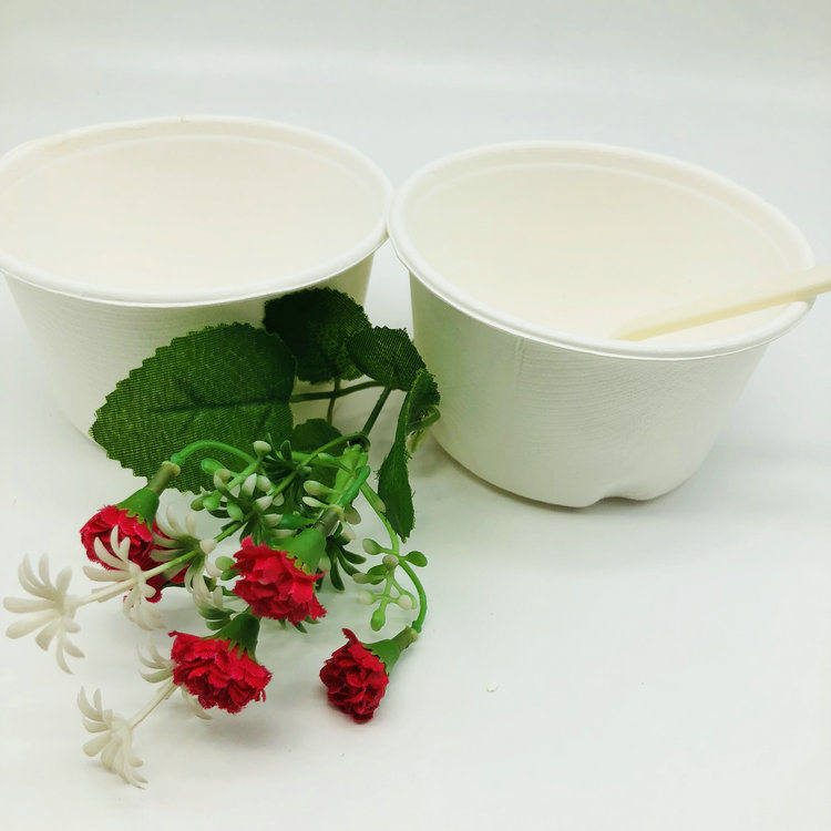 500ml Biodegradable Disposable Eco-Friendly Sugarcane Bagasse Cup