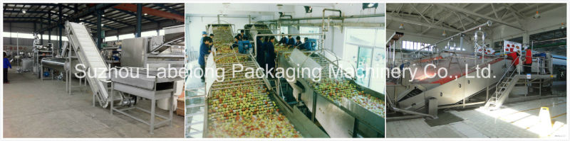 Pet Bottle Fruit Juice Production Line / Juice Filling Machine