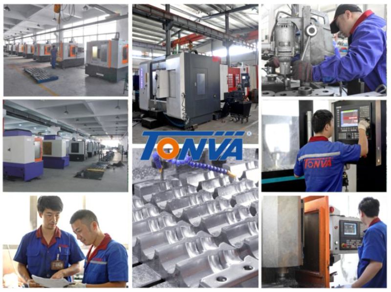 Tonva Milk Bottle Blow Molding Machine