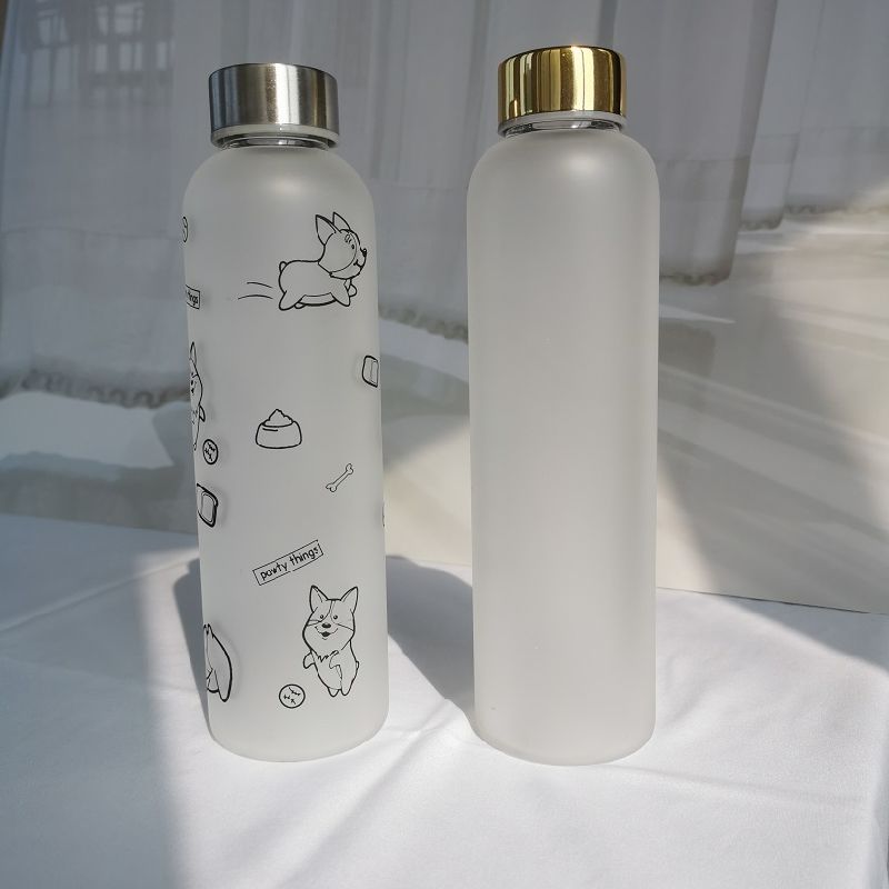 Wholesale Borosilicate Glass Drink Water Bottle Frosted Water Bottles 2021