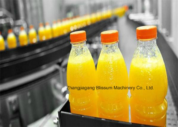 Automatic Blowing Machine for Plastic Juice Bottle