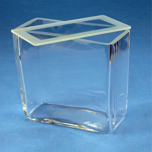 Small and Large Lab Glass Jars