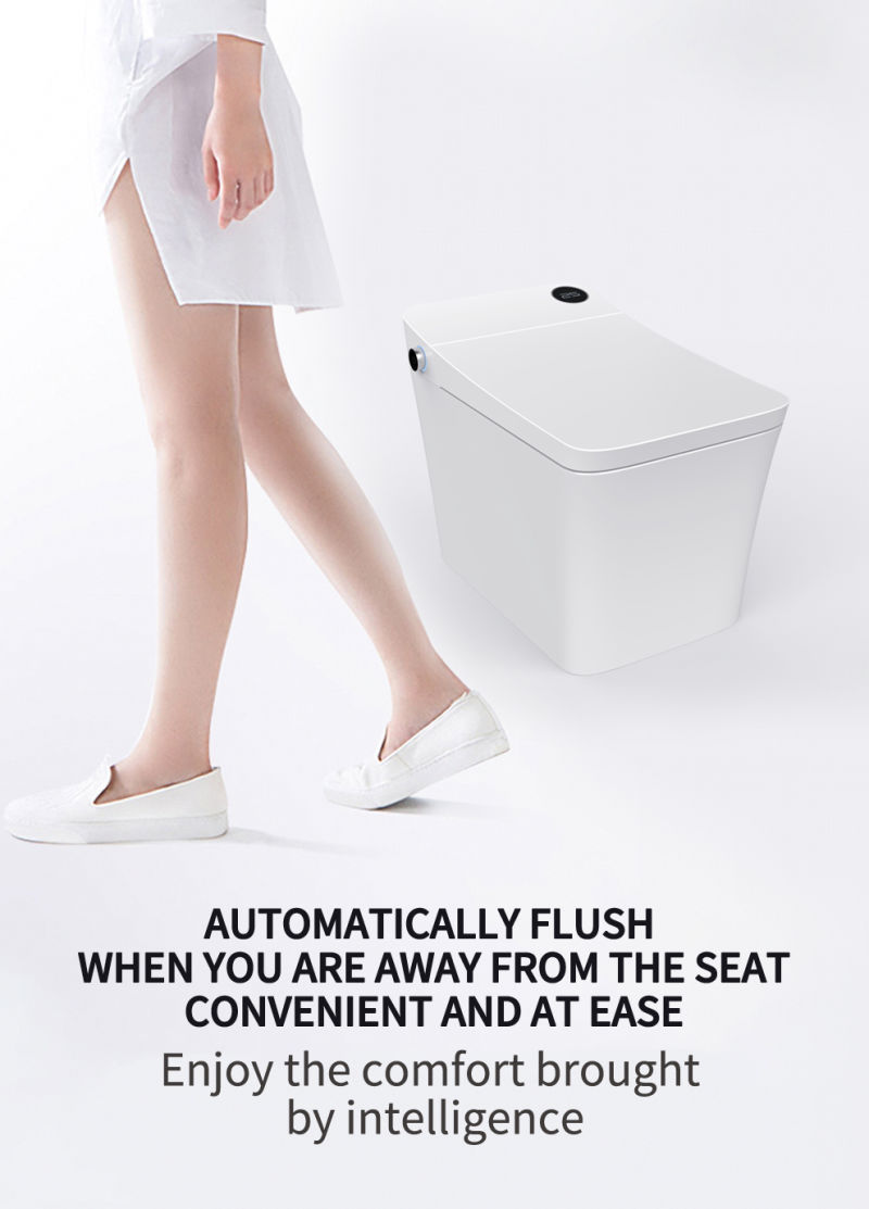 Hot Sale Floor Mounted Ceramic Intelligent Toilet Suppliers