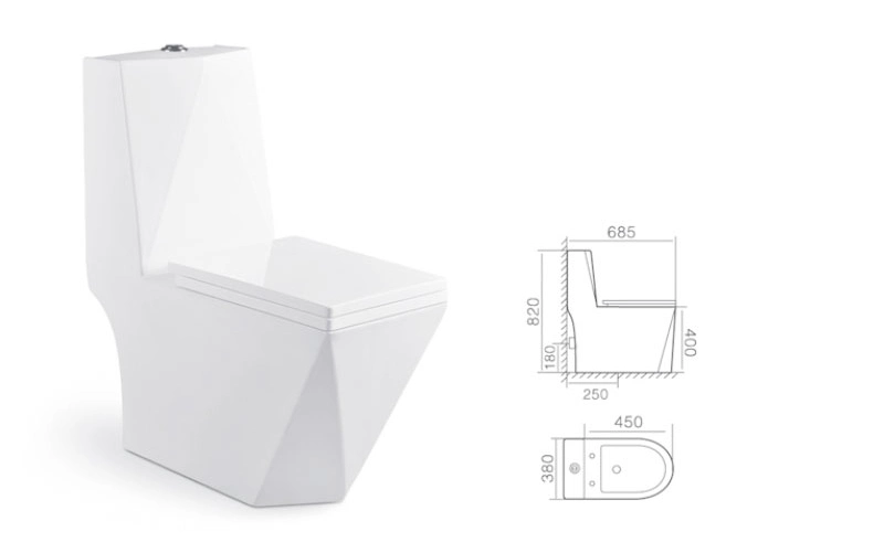 Channing Unique Toilet Bathroom Ceramic Washdown One-Piece Closet Wc Dual Flush Toilet (QT-1310A)