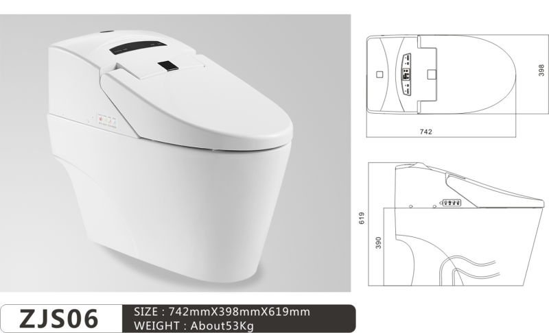 Smart Home Wc Automatic Open-Close Electric Intelligent Toilet Bowl